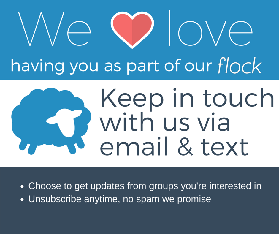 st-mary-of-the-immaculate-conception-flocknote-feed